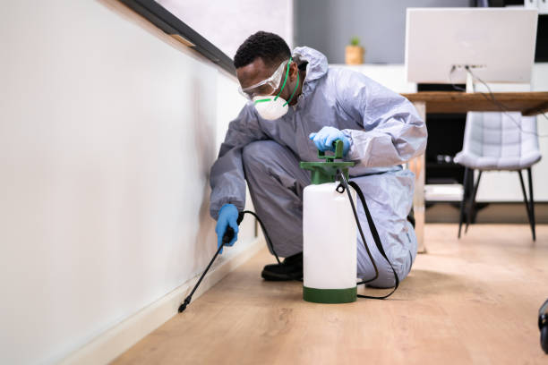 Best Fumigation Services  in Jefferson, GA